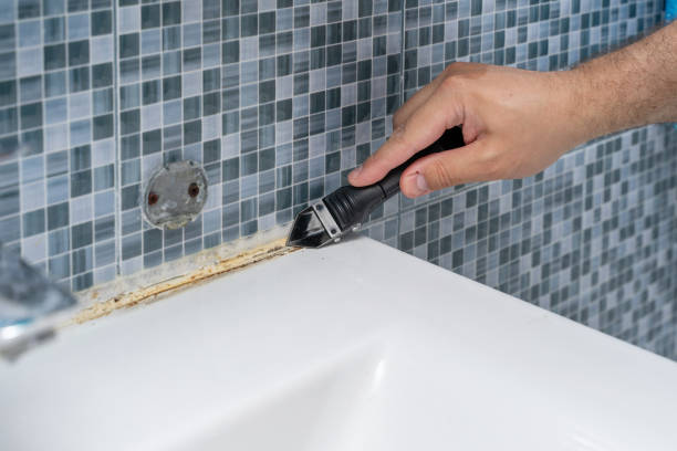 Mold Removal and Inspection in River Ridge, LA